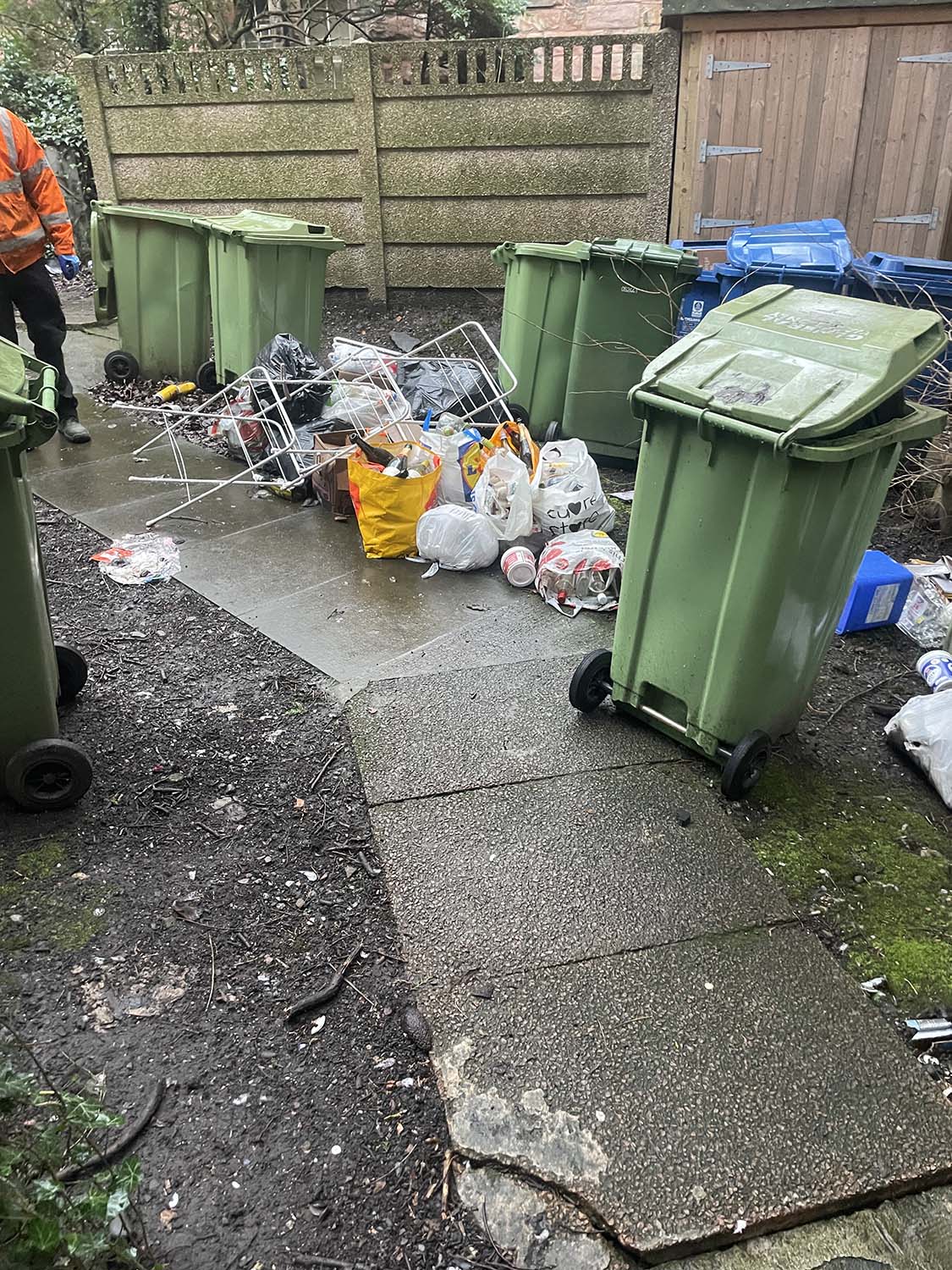 Garden Waste Before