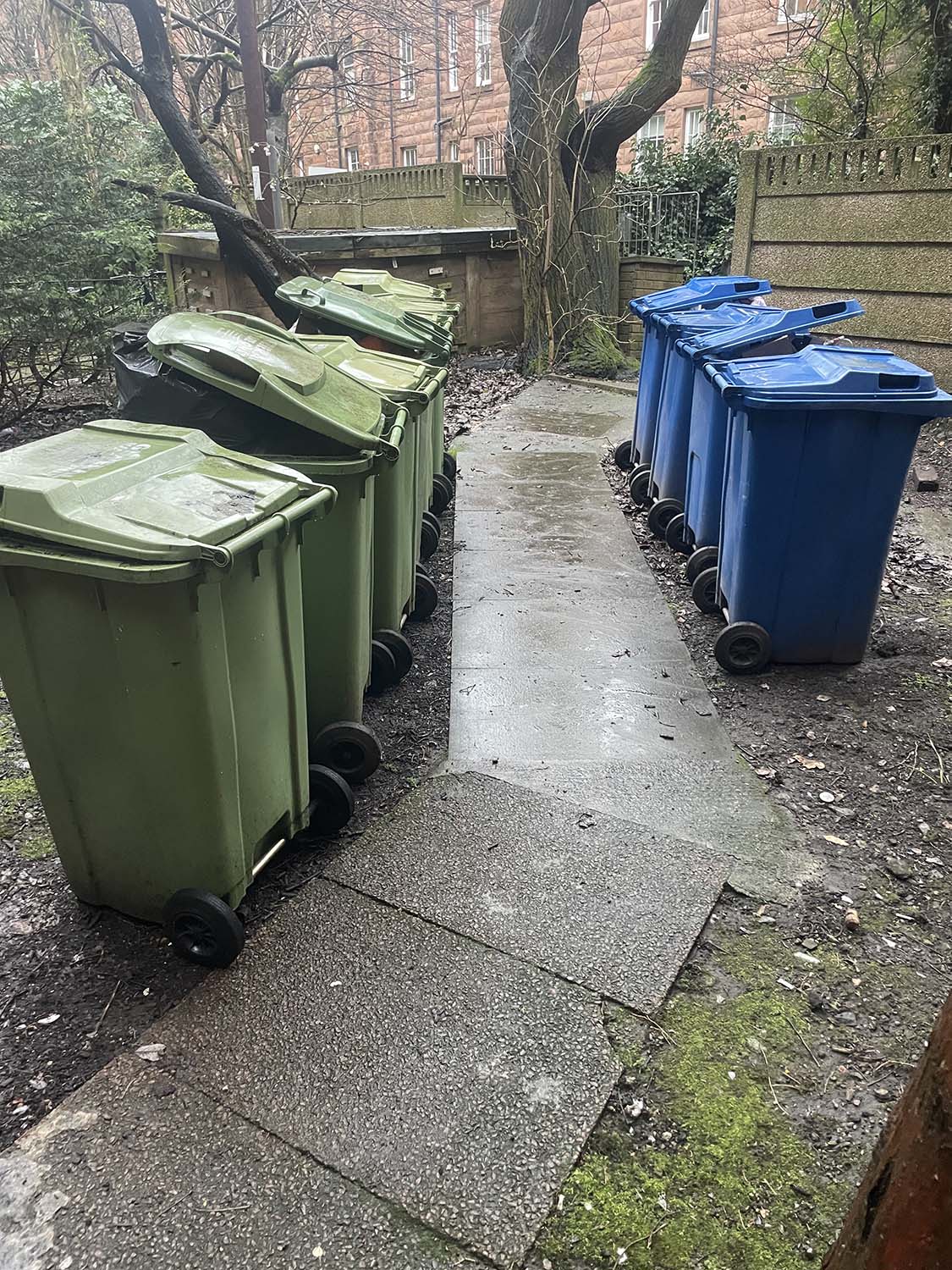 Garden Waste After